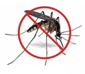 anti mosquitos