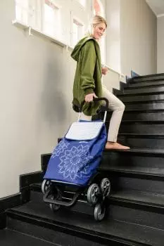 mujer subiendo las escaleras con carrito de compra